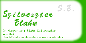 szilveszter blahm business card